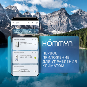 Блок управления (шлюз) Hommyn Hub HH-01
